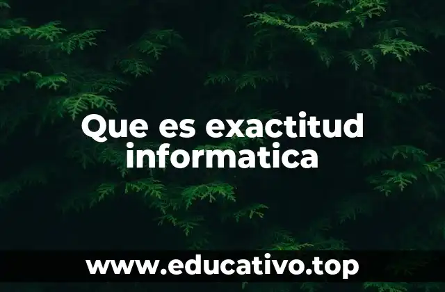 Que es exactitud informatica