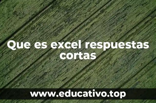 Que es excel respuestas cortas