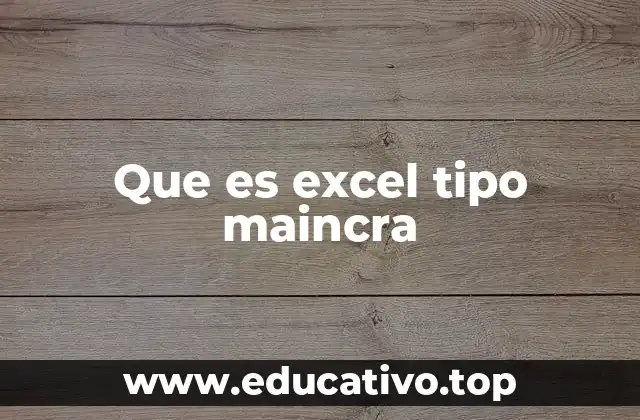 Que es excel tipo maincra