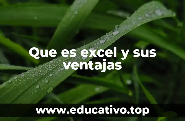 Que es excel y sus ventajas