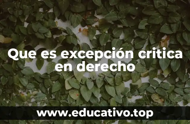 Que es excepción critica en derecho