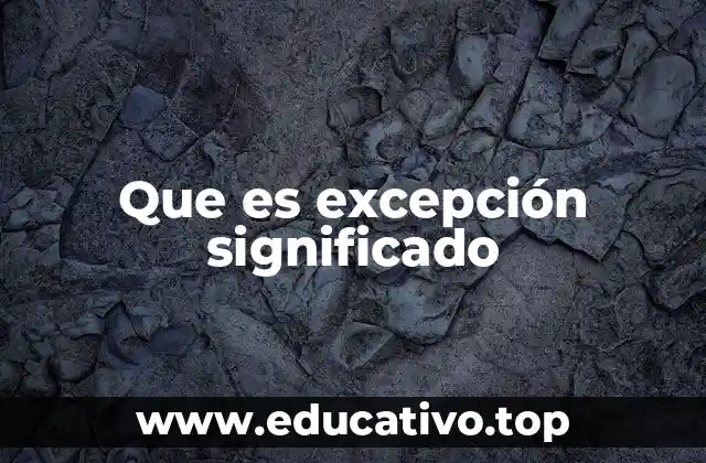 Que es excepción significado