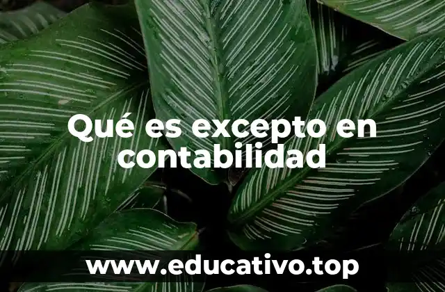 Qué es excepto en contabilidad
