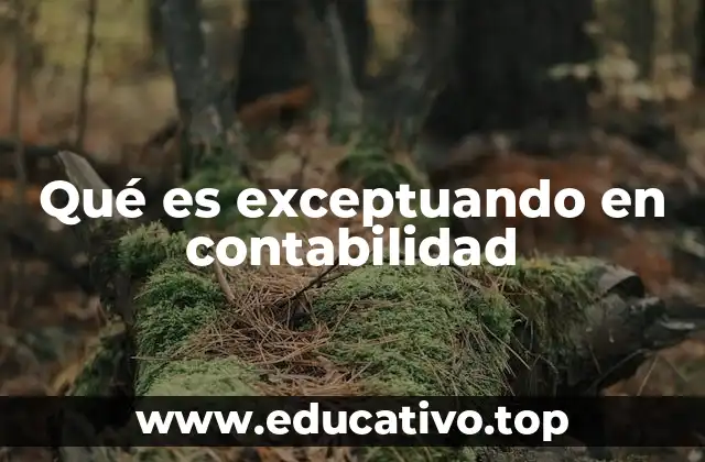 El papel de las exclusiones en los estados financieros