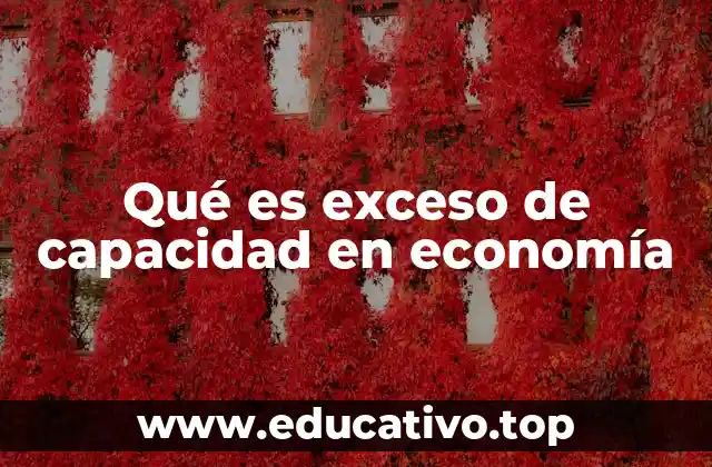 Qué es exceso de capacidad en economía