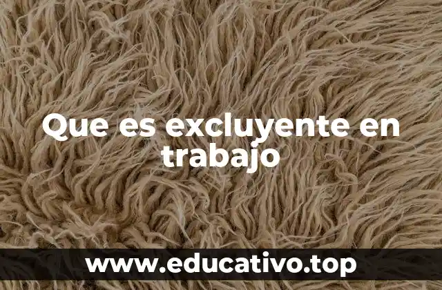Que es excluyente en trabajo