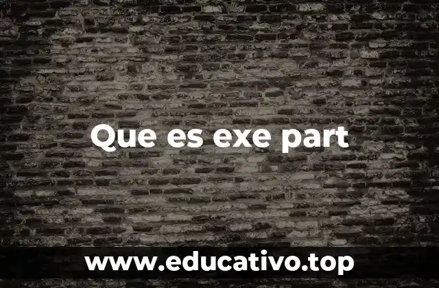 Que es exe part