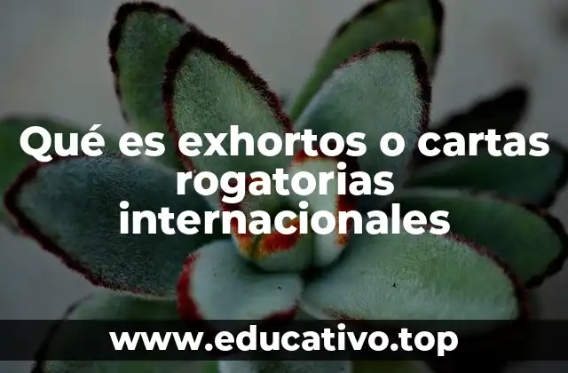 Mecanismo de funcionamiento de las cartas rogatorias internacionales