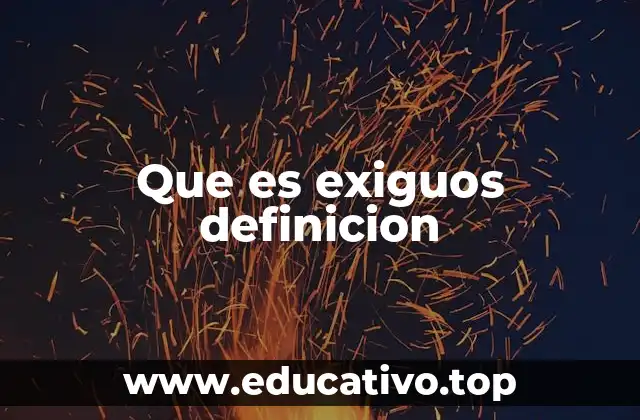 Que es exiguos definicion