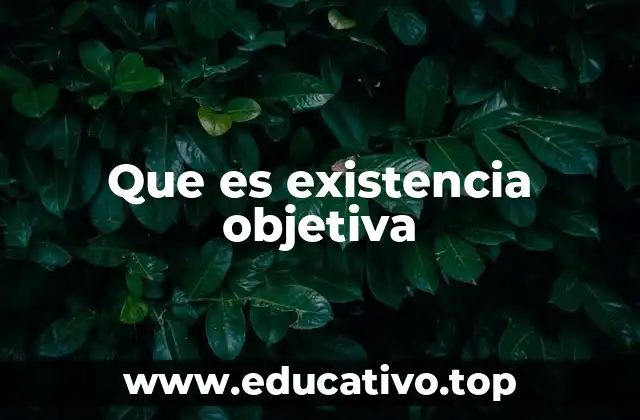 Que es existencia objetiva