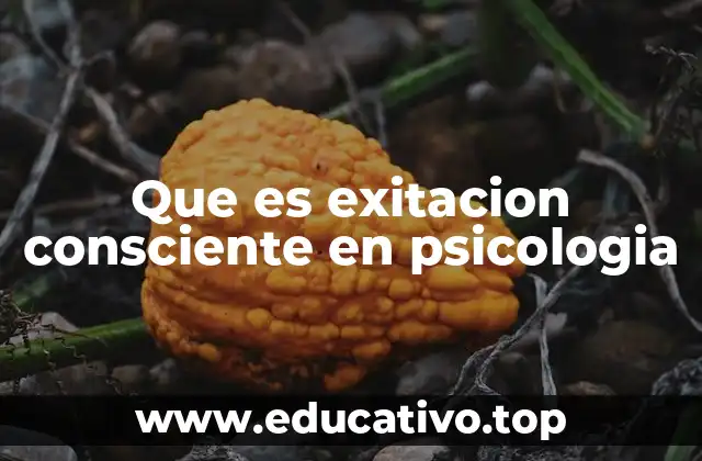 Que es exitacion consciente en psicologia