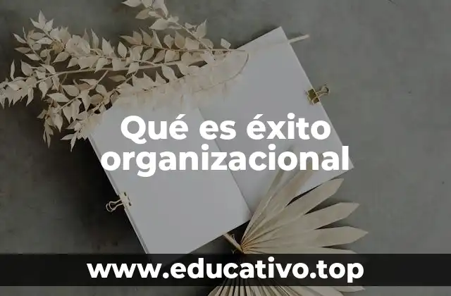 Qué es éxito organizacional