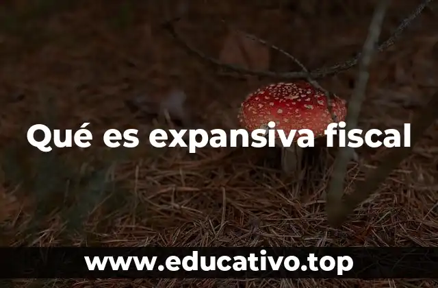 Qué es expansiva fiscal