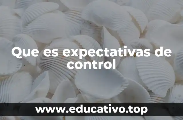Que es expectativas de control