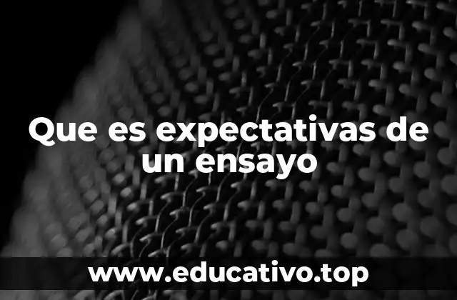Que es expectativas de un ensayo