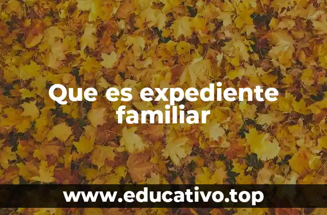 Que es expediente familiar