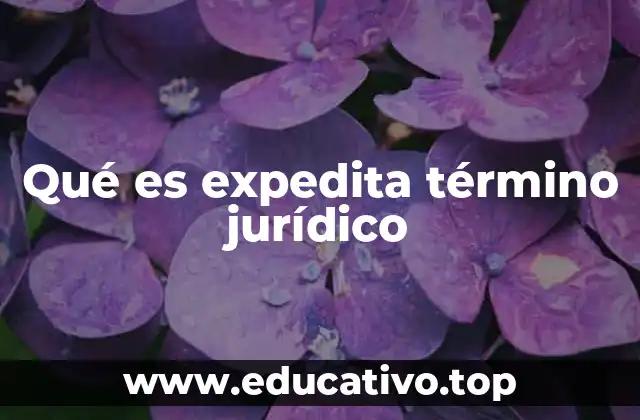 Qué es expedita término jurídico
