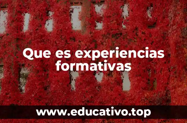 Que es experiencias formativas
