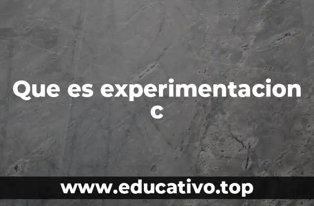 Que es experimentacion c