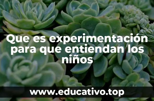Que es experimentación para que entiendan los niños