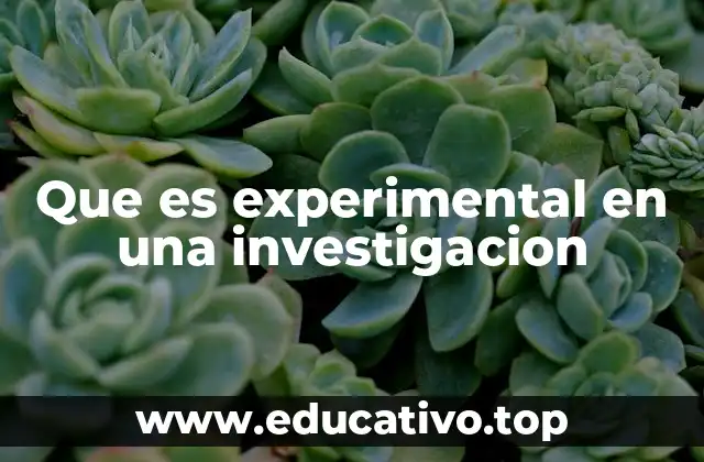 Que es experimental en una investigacion