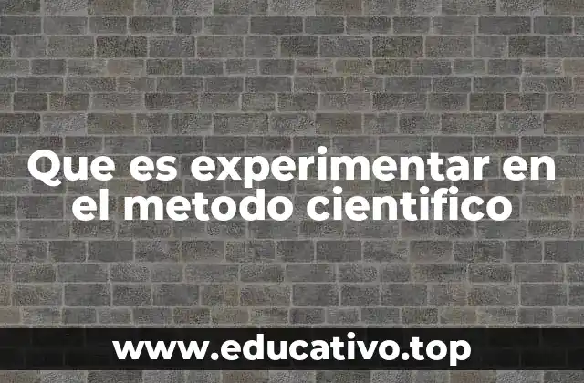 Que es experimentar en el metodo cientifico