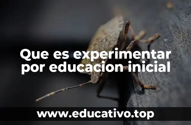 Que es experimentar por educacion inicial