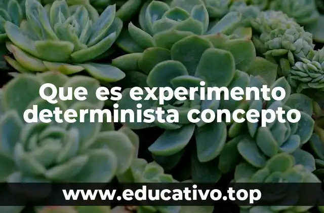 Que es experimento determinista concepto