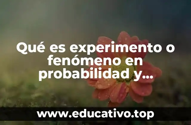 Qué es experimento o fenómeno en probabilidad y estadística