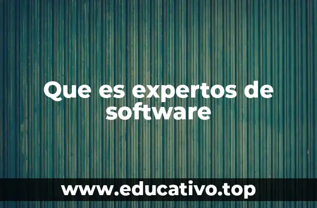 Que es expertos de software
