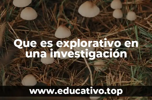 Que es explorativo en una investigación