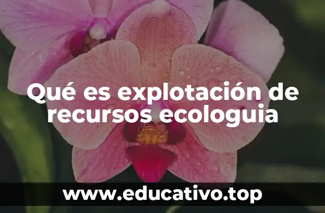 Qué es explotación de recursos ecologuia