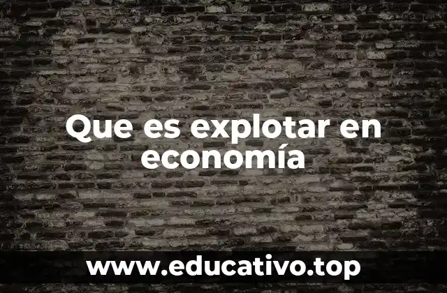 Que es explotar en economía