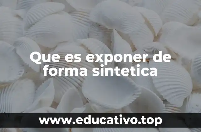 Que es exponer de forma sintetica