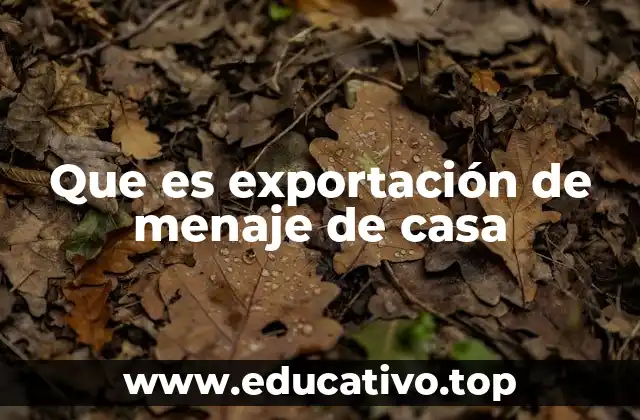 Que es exportación de menaje de casa