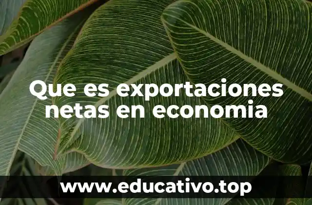 Que es exportaciones netas en economia