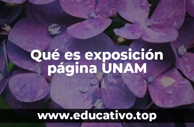 Qué es exposición página UNAM