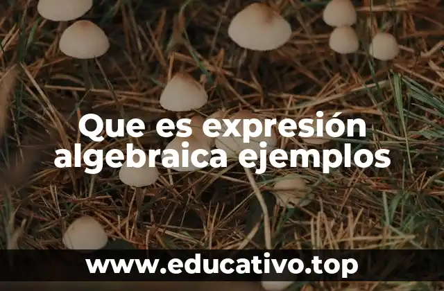 Que es expresión algebraica ejemplos