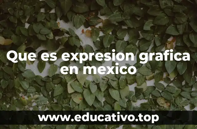 Que es expresion grafica en mexico