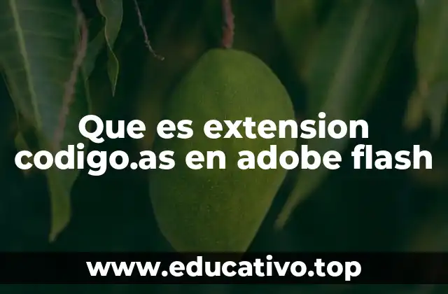 Que es extension codigo.as en adobe flash