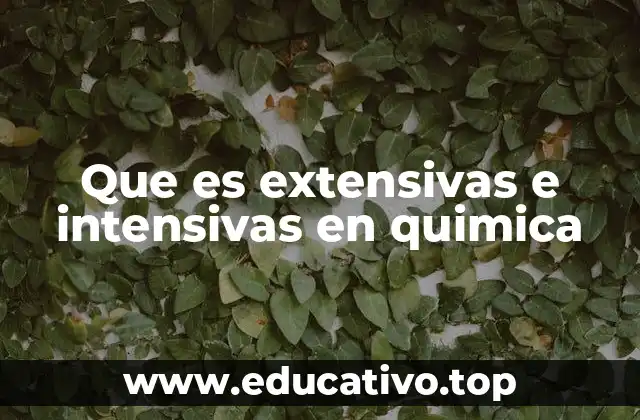 Que es extensivas e intensivas en quimica