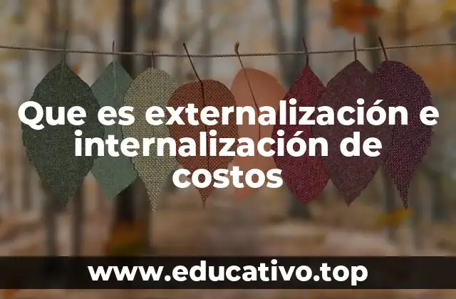 Que es externalización e internalización de costos