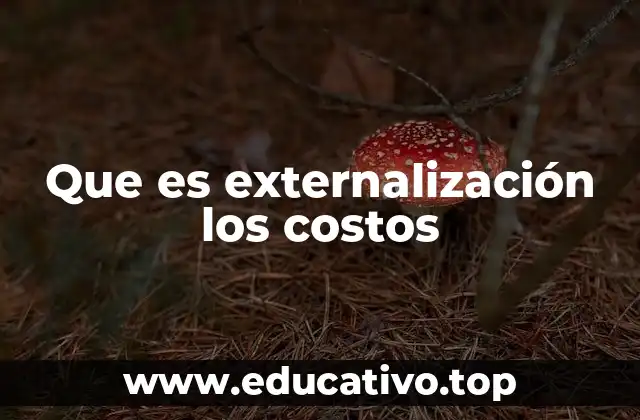 Que es externalización los costos