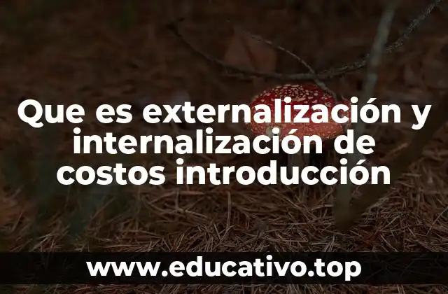 Que es externalización y internalización de costos introducción