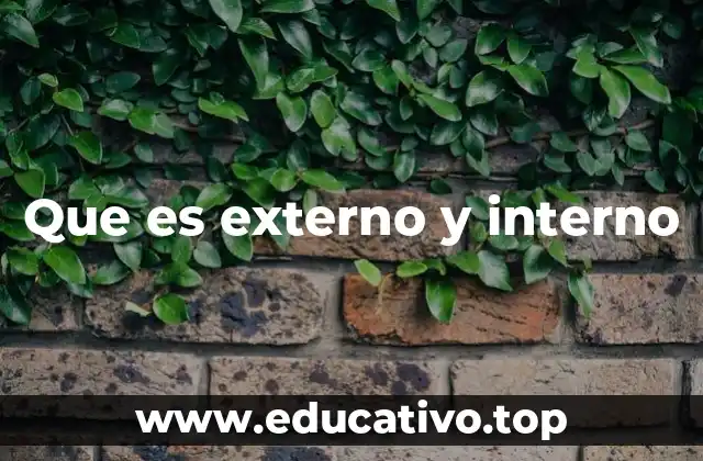 Que es externo y interno