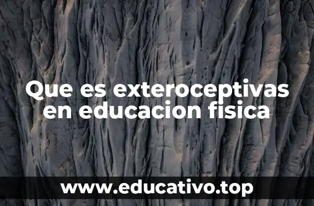 Que es exteroceptivas en educacion fisica