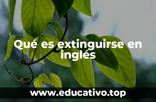 Qué es extinguirse en inglés