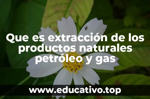 El papel de la geología en la extracción de hidrocarburos