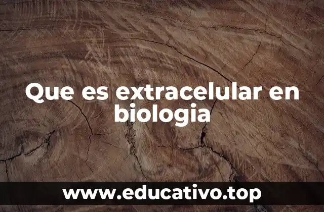 Que es extracelular en biologia