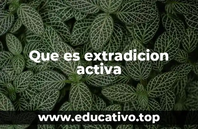 Que es extradicion activa